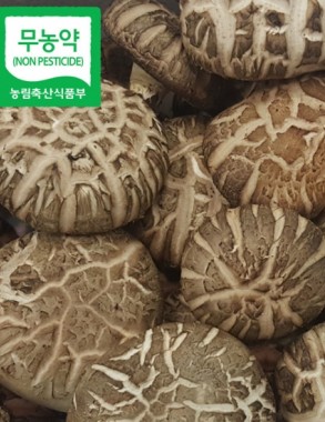 무농약 특 표고버섯 1kg